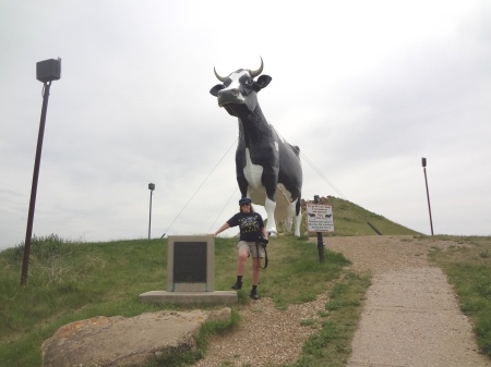 Karen Duquette approaching The World's Largest Holstein Cow